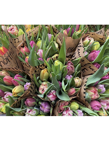 Wholesale tulips for florists,  wedding and event professionals