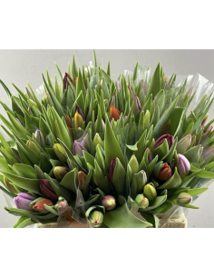 Wholesale tulips for florists,  wedding and event professionals