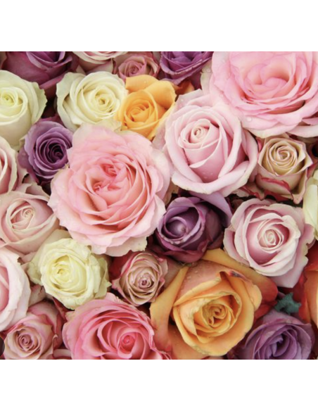 "Wholesale bulk box of 150 premium assorted 50cm roses from Ecuador for Valentine's Day floral arrangements."