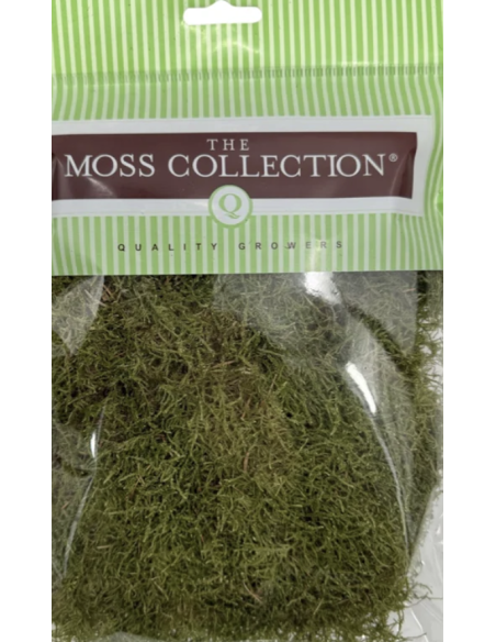 Sheet Moss – Dried Packages | Wholesale & Bulk Moss