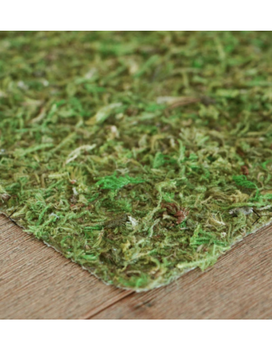 Mossy Mat "peel and stick"
