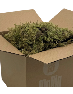 Mountain Moss "sphagnum" Consumer Packs