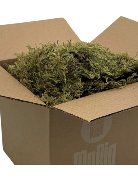 Mountain Moss "sphagnum" Consumer Packs