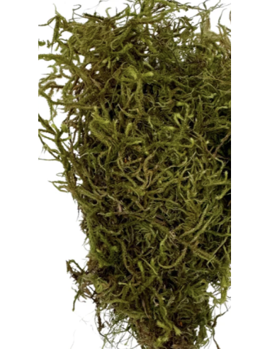 Mountain Moss "sphagnum" Consumer Packs