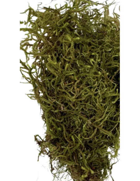 Mountain Moss "sphagnum" Consumer Packs