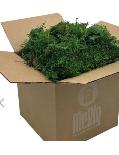 Mountain Moss "sphagnum" Standard Box 2