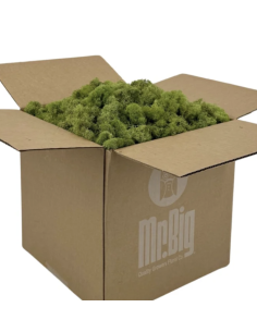 Reindeer Moss – Preserved | BULK Box | Wholesale & Bulk