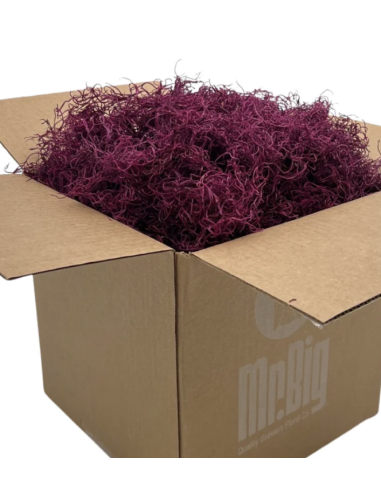 Preserved Spanish Moss | Bulk & Wholesale Moss for Events & Installations
