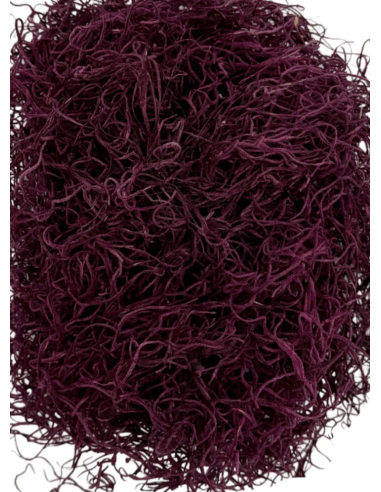 Preserved Spanish Moss | Bulk & Wholesale Moss for Events & Installations