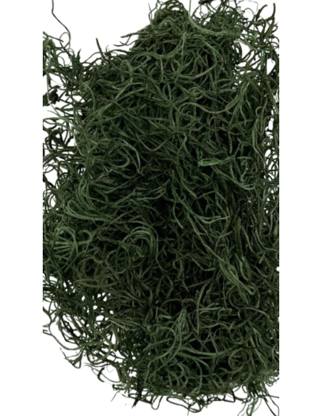 Preserved Spanish Moss | Bulk & Wholesale Moss for Events & Installations