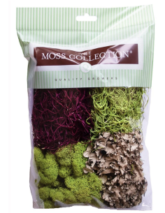 Variety Pack Mosses — Consumer Packages | Wholesale Moss Assortment