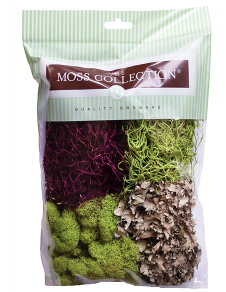 Variety Pack Mosses — Consumer Packages | Wholesale Moss Assortment