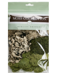 Variety Pack Mosses — Consumer Packages | Wholesale Moss Assortment 2