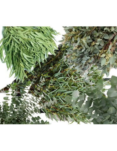 Eucalyptus Mixed Box for Valentine’s Day | 20 Bunches Luxury Wholesale Greens