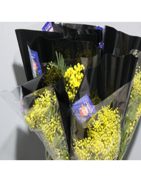 French Fluffy Acacia Bagged