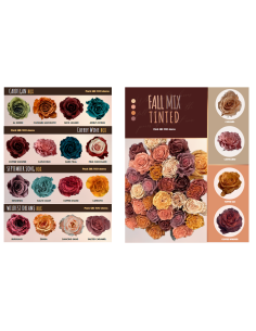 🌹 FALL Tinted  / Assorted Rose Boxes — 100 Stem Pack (50cm) 2