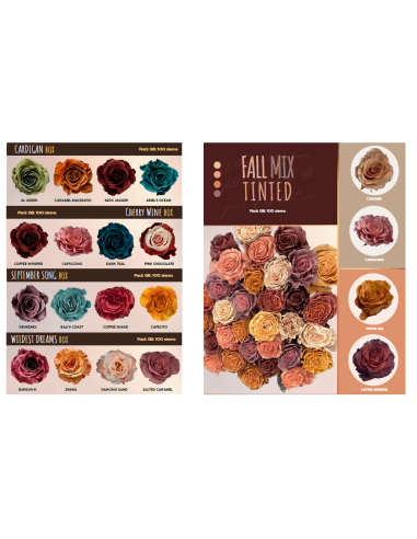🌹 FALL Tinted  / Assorted Rose Boxes — 100 Stem Pack (50cm)