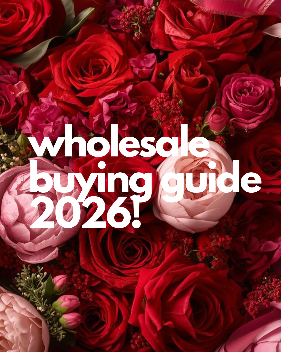 Wholesale Flower Buying Guide & Availability Update: February 2026