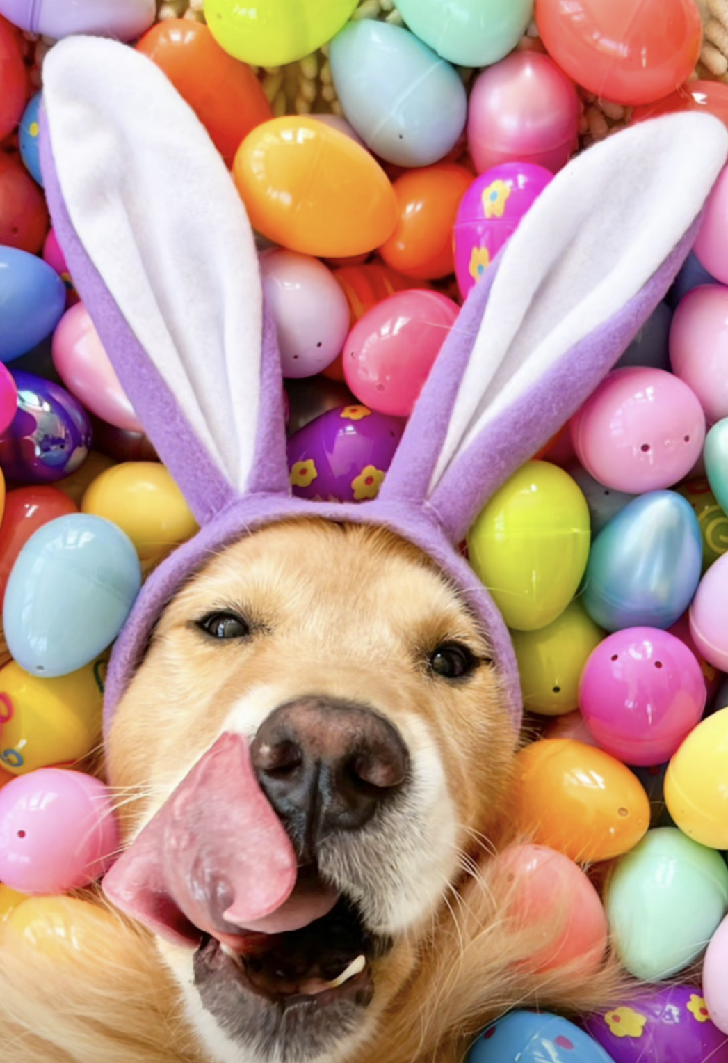 Easter Week Begins: What Designers Are Ordering, What’s Moving Fast, and How to Stay Ahead