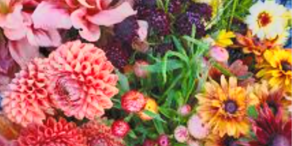How to Order Bulk Flowers for Events and Weddings
