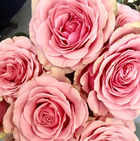 Role of Floral Wholesalers: Powering the Flower Trade